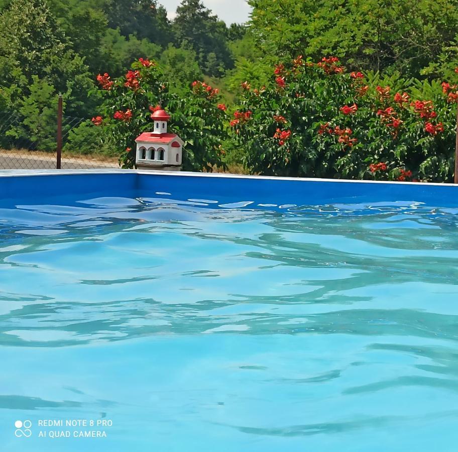 Guest House Vila Aleksa Bogutovac Luaran gambar