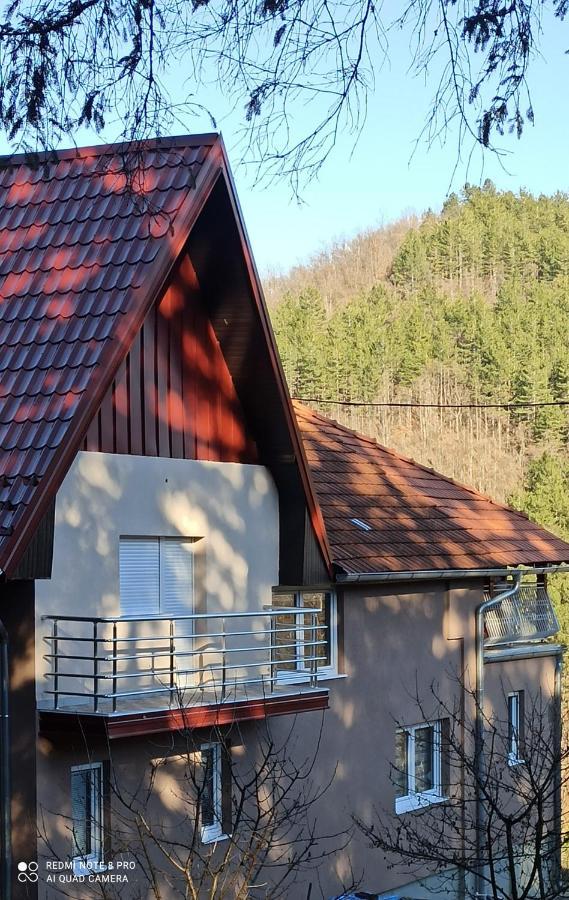 Guest House Vila Aleksa Bogutovac Luaran gambar
