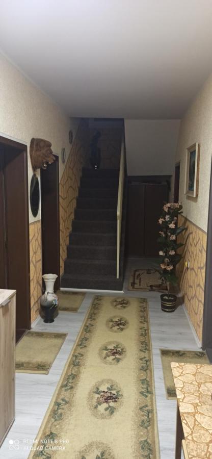 Guest House Vila Aleksa Bogutovac Luaran gambar