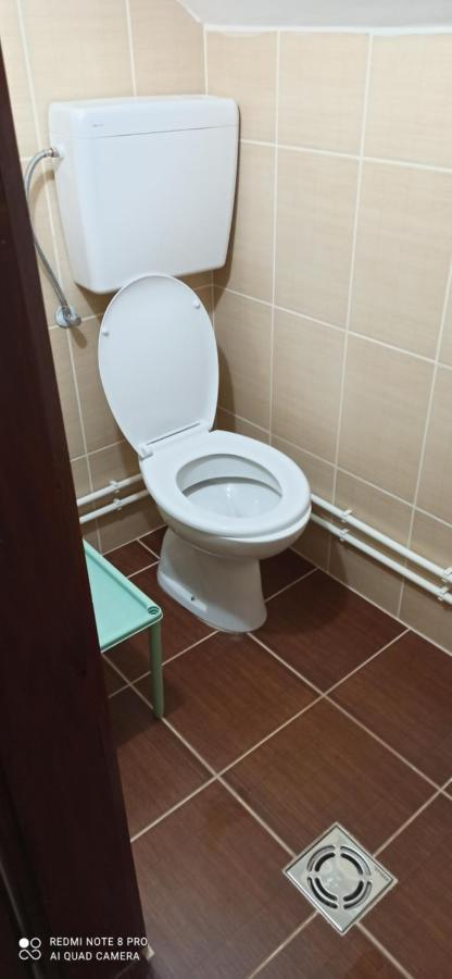 Guest House Vila Aleksa Bogutovac Luaran gambar