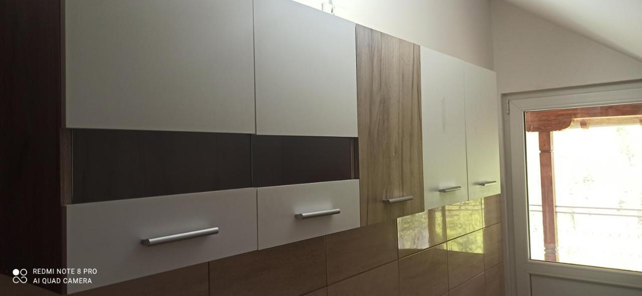 Guest House Vila Aleksa Bogutovac Luaran gambar