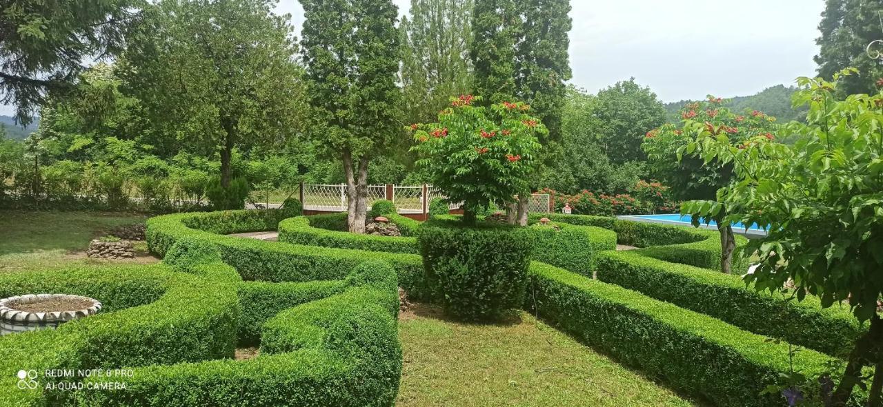 Guest House Vila Aleksa Bogutovac Luaran gambar