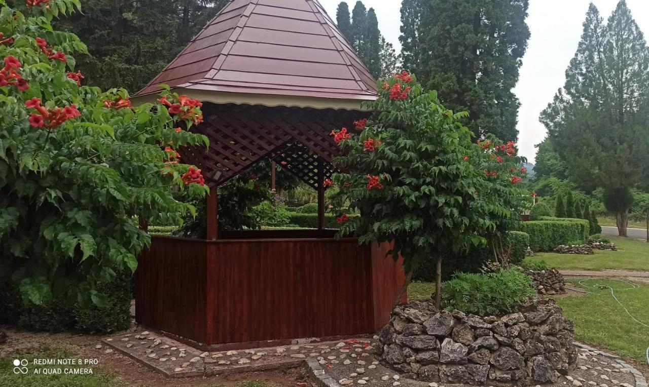 Guest House Vila Aleksa Bogutovac Luaran gambar