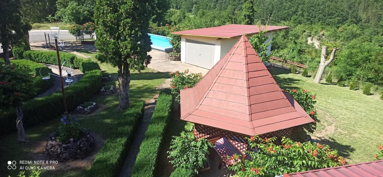 Guest House Vila Aleksa Bogutovac Luaran gambar
