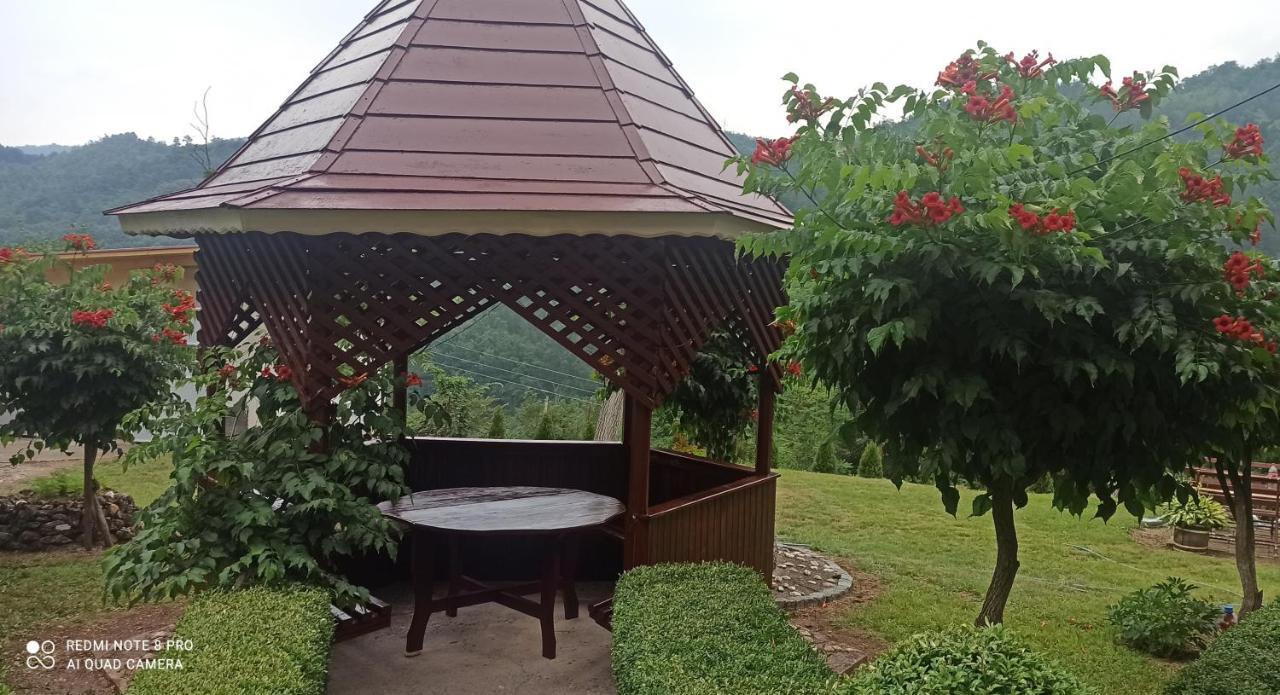 Guest House Vila Aleksa Bogutovac Luaran gambar